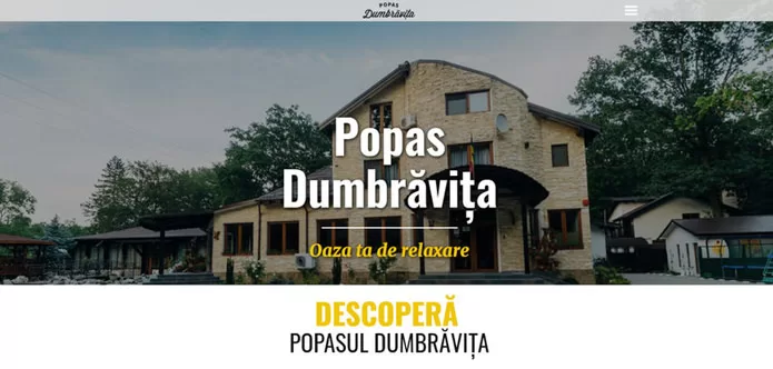 Agentie Web Design - Popas Dumbravita - Portofoliu